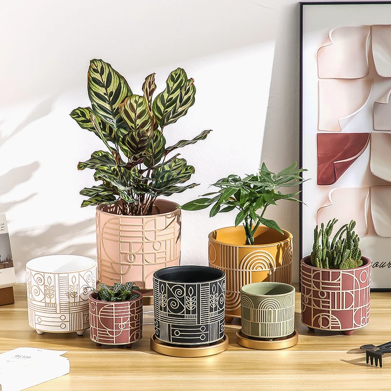 Aloe Vera Pot - Vaso da fiori in ceramica cilindrico