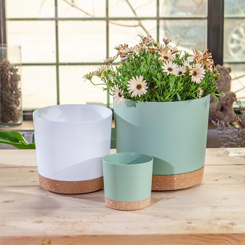 Aloe Vera Pot - Vasi per piante, vasi grandi e
