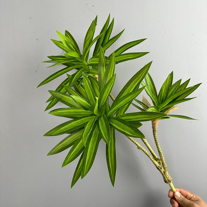 Dracaena Marginata - Piante verdi simulate 3 teste di