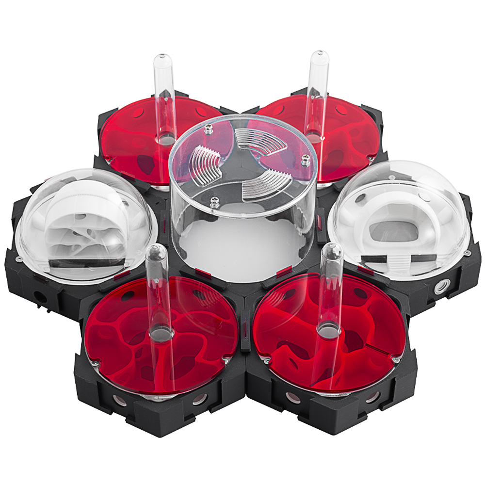 Stampa 3D Nido di formiche Inf - Begonia Rex recensione e prezzo