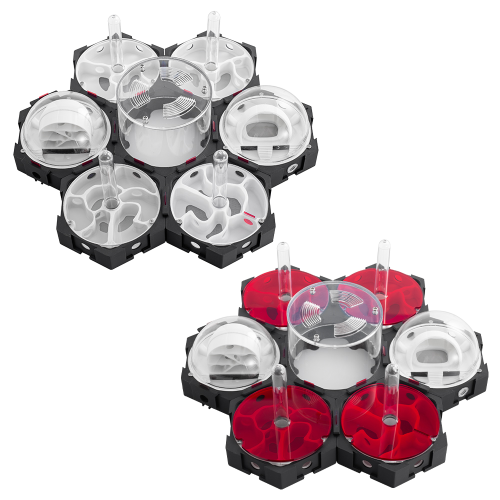 Stampa 3D Nido di formiche Inf - Begonia Rex recensione e prezzo