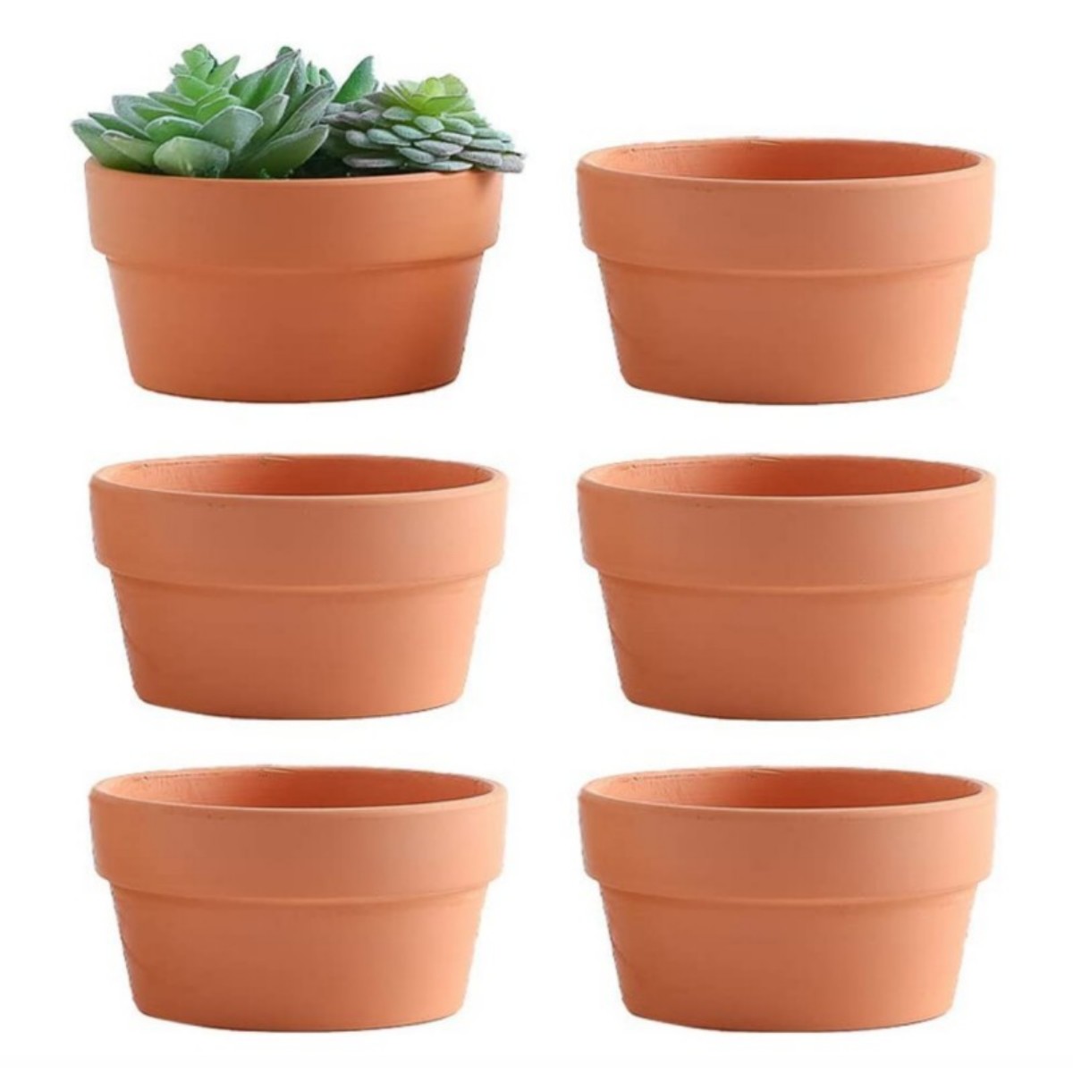 6 pezzi vasi in terracotta da  - Aloe Vera Pot recensione e prezzo