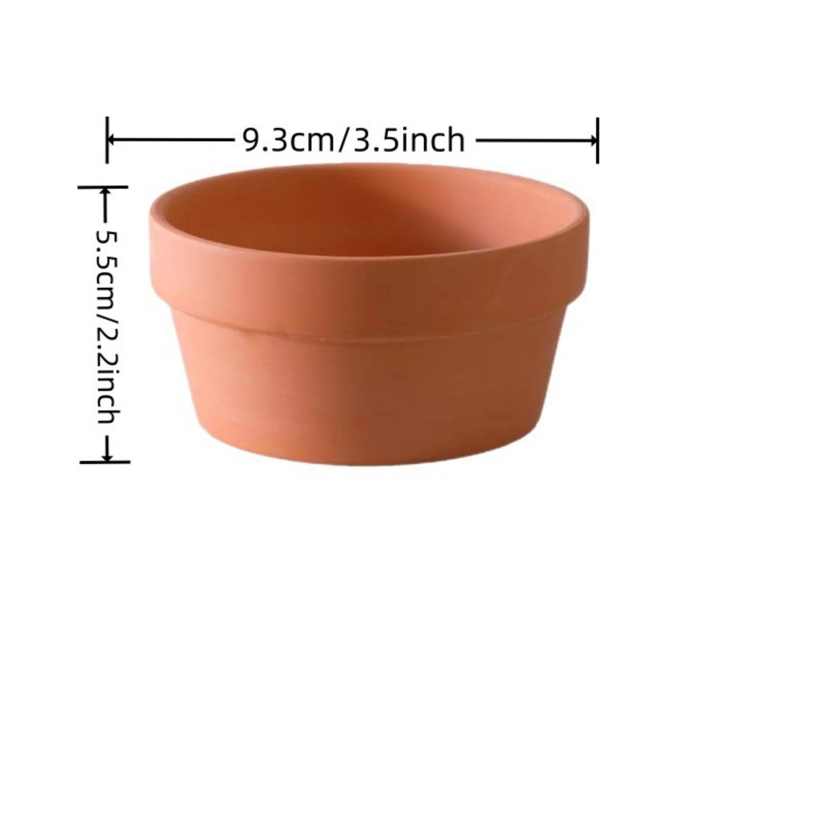 6 pezzi vasi in terracotta da  - Aloe Vera Pot recensione e prezzo