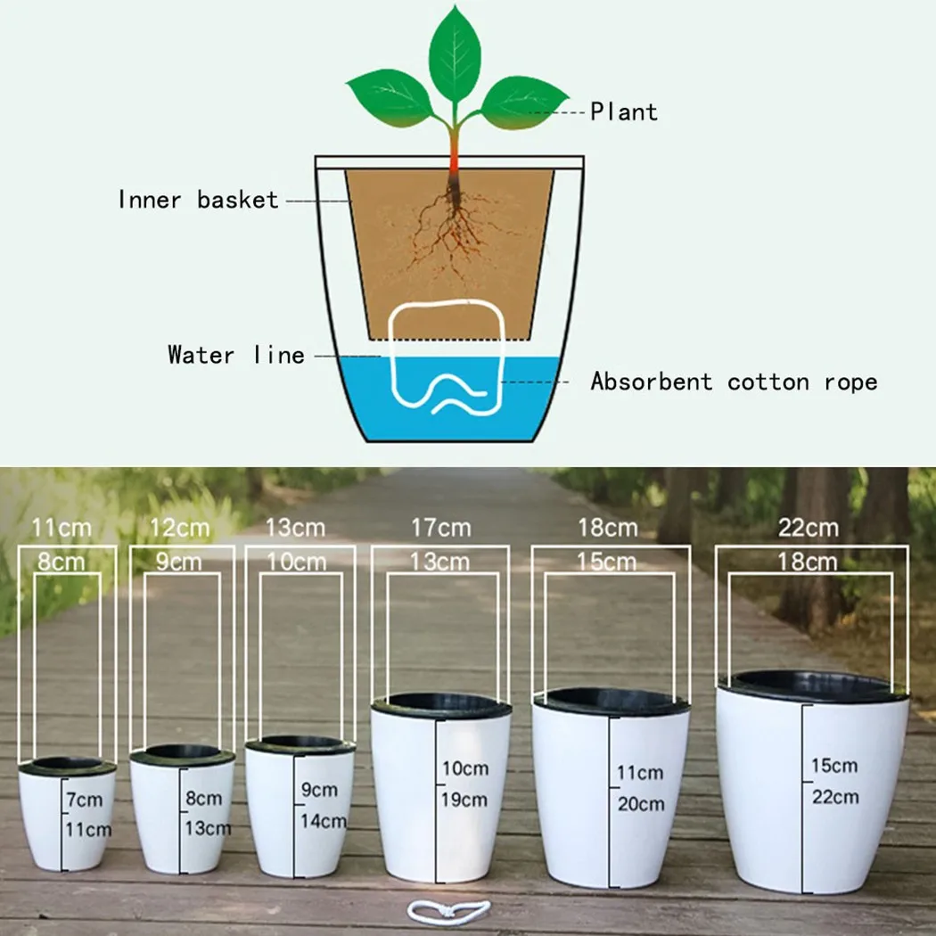 Vaso da fiori pigro Pianta aut - Aloe Vera Pot recensione e prezzo