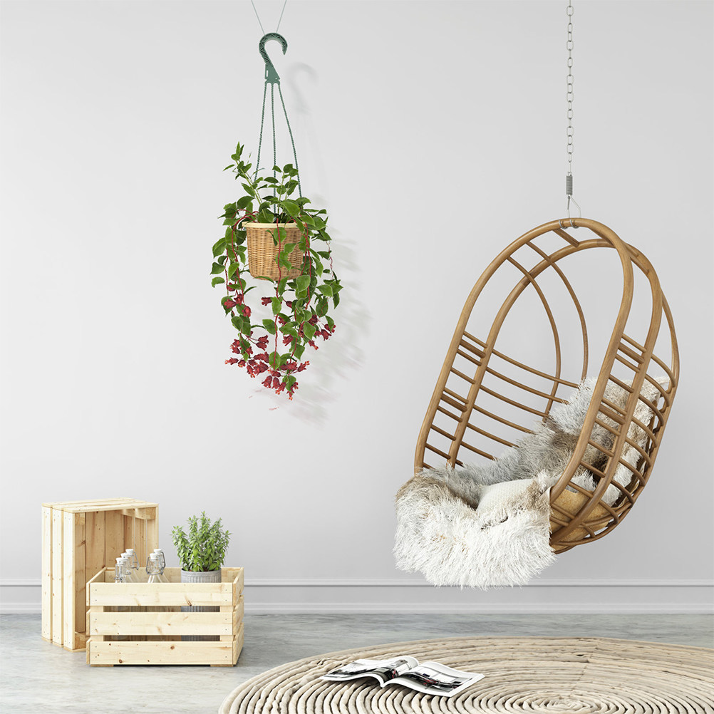 Set di 5 Ganci per Piante Sosp - Spider Plant Hanging recensione e prezzo