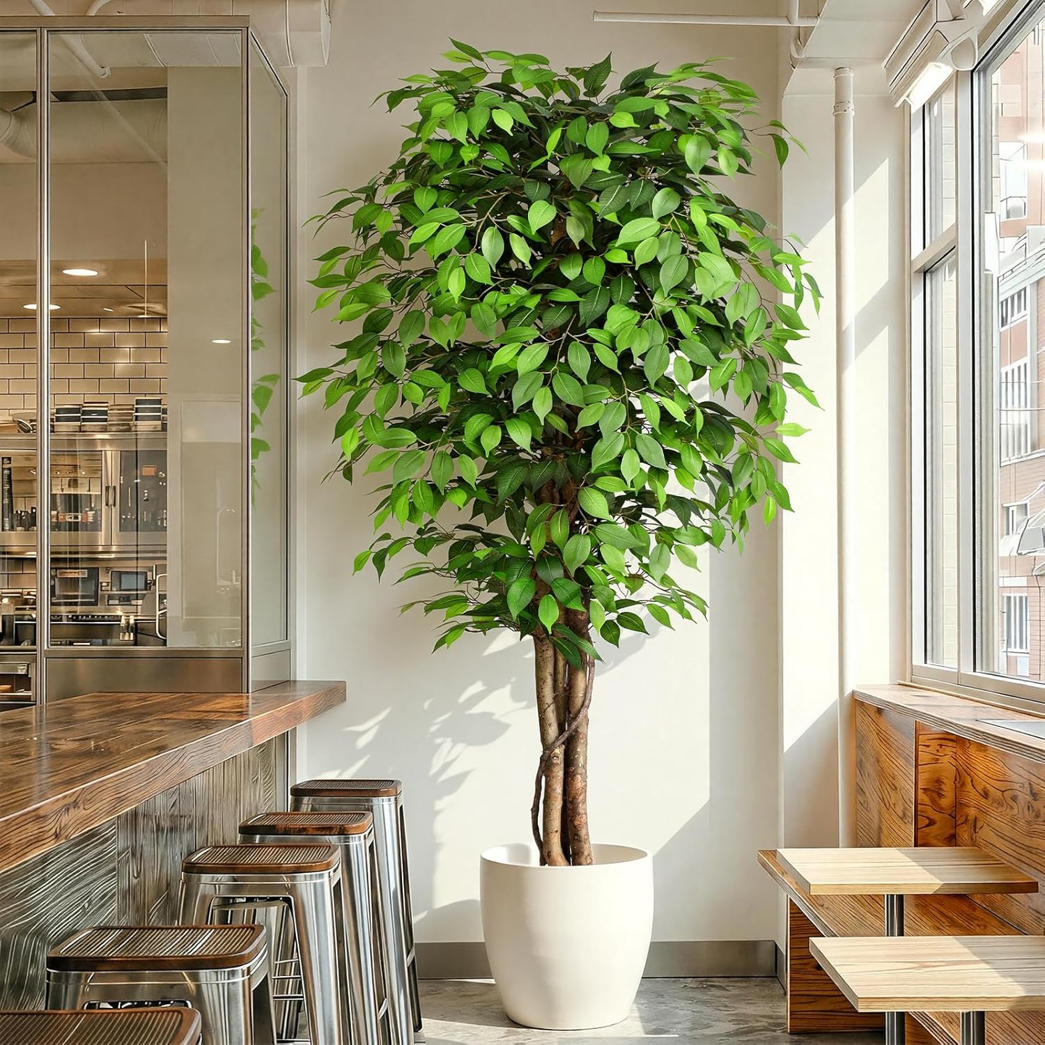 Albero di Ficus Artificiale Re - Monstera Adansonii recensione e prezzo