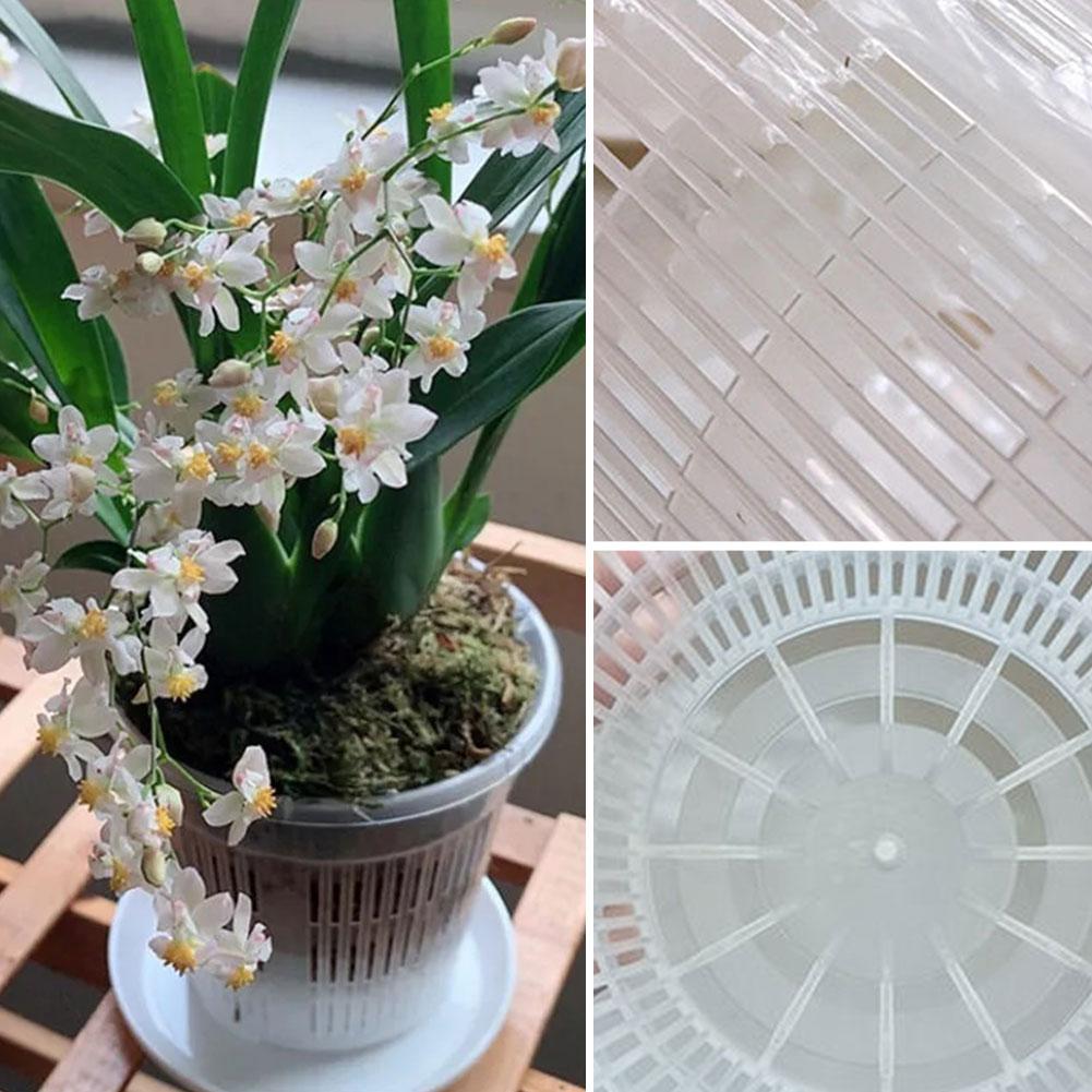 Vaso da fiori trasparente per  - Aloe Vera Pot recensione e prezzo