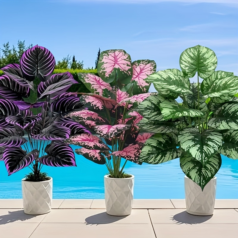 3 pz 60 cm Grande Pianta Verde - Monstera Adansonii recensione e prezzo