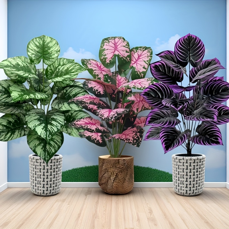 3 pz 60 cm Grande Pianta Verde - Monstera Adansonii recensione e prezzo