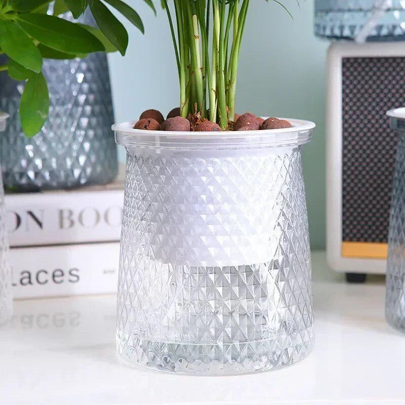 2024 Vaso da fiori trasparente - Aloe Vera Pot recensione e prezzo