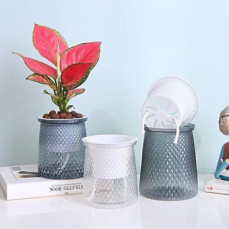 2024 Vaso da fiori trasparente - Aloe Vera Pot recensione e prezzo