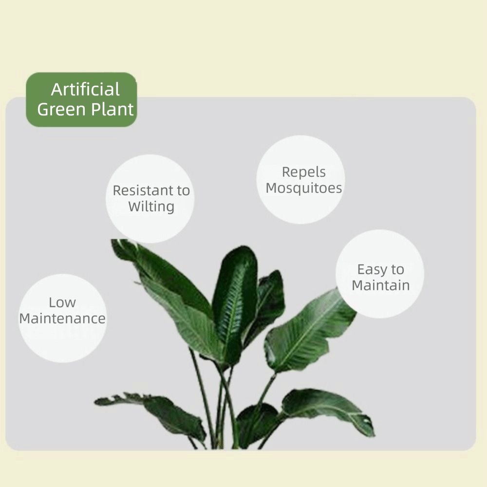 Albero di Ficus Artificiale in - Monstera Adansonii recensione e prezzo