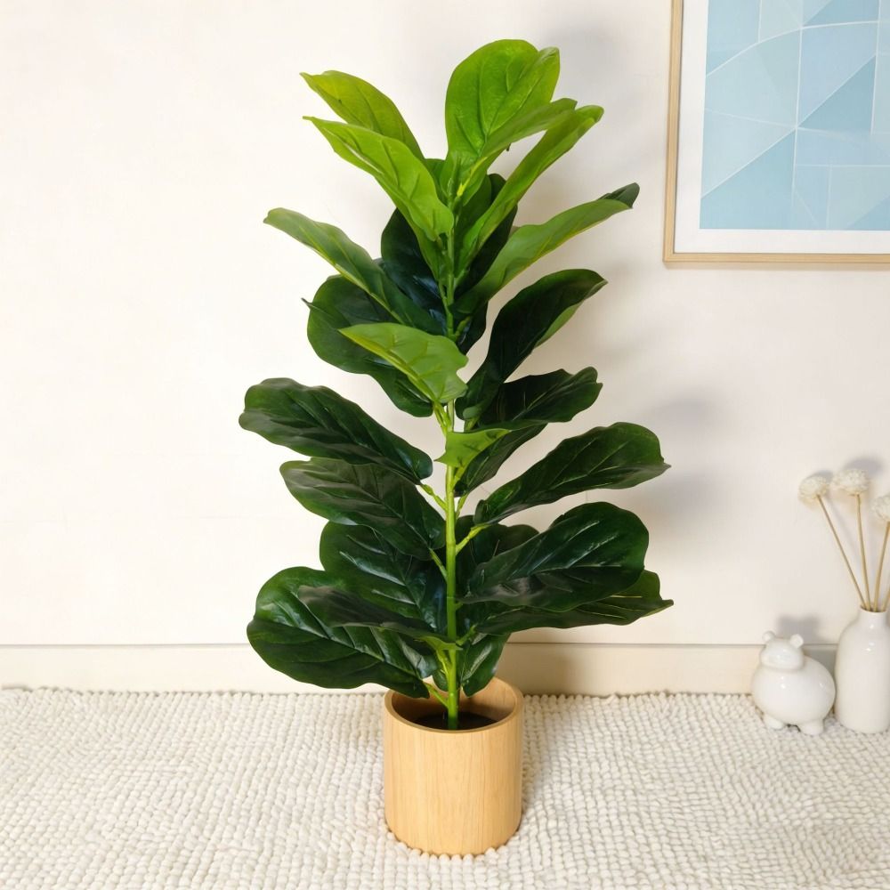 Albero di Ficus Artificiale in - Monstera Adansonii recensione e prezzo