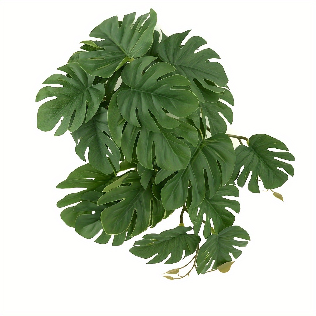 Piante Artificiali per Terrari - Monstera Adansonii recensione e prezzo