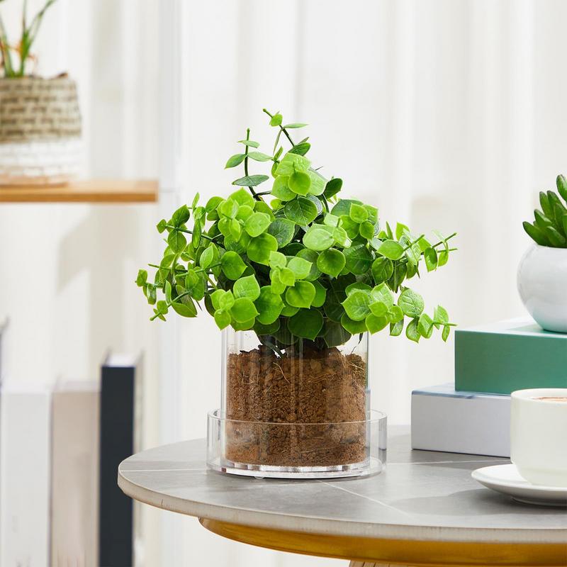 Vasi per piante trasparenti co - Aloe Vera Pot recensione e prezzo