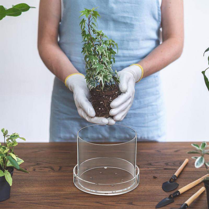 Vasi per piante trasparenti co - Aloe Vera Pot recensione e prezzo