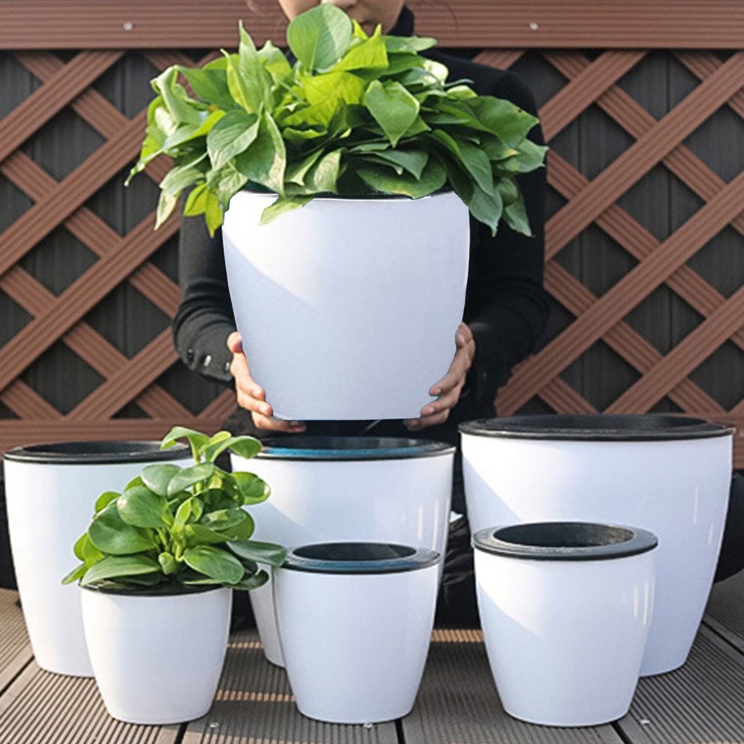 Irrigazione automatica piante  - Aloe Vera Pot recensione e prezzo