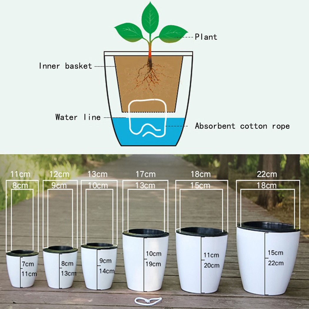 Irrigazione automatica piante  - Aloe Vera Pot recensione e prezzo