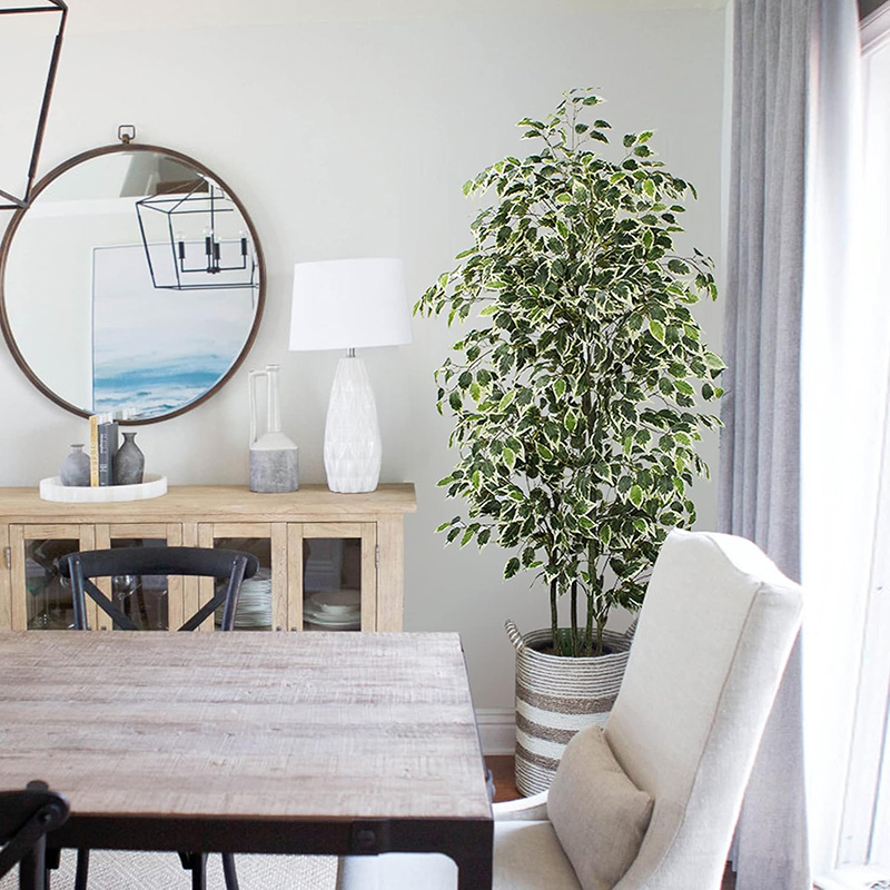 Albero di ficus artificiale da - Dracaena Marginata recensione e prezzo