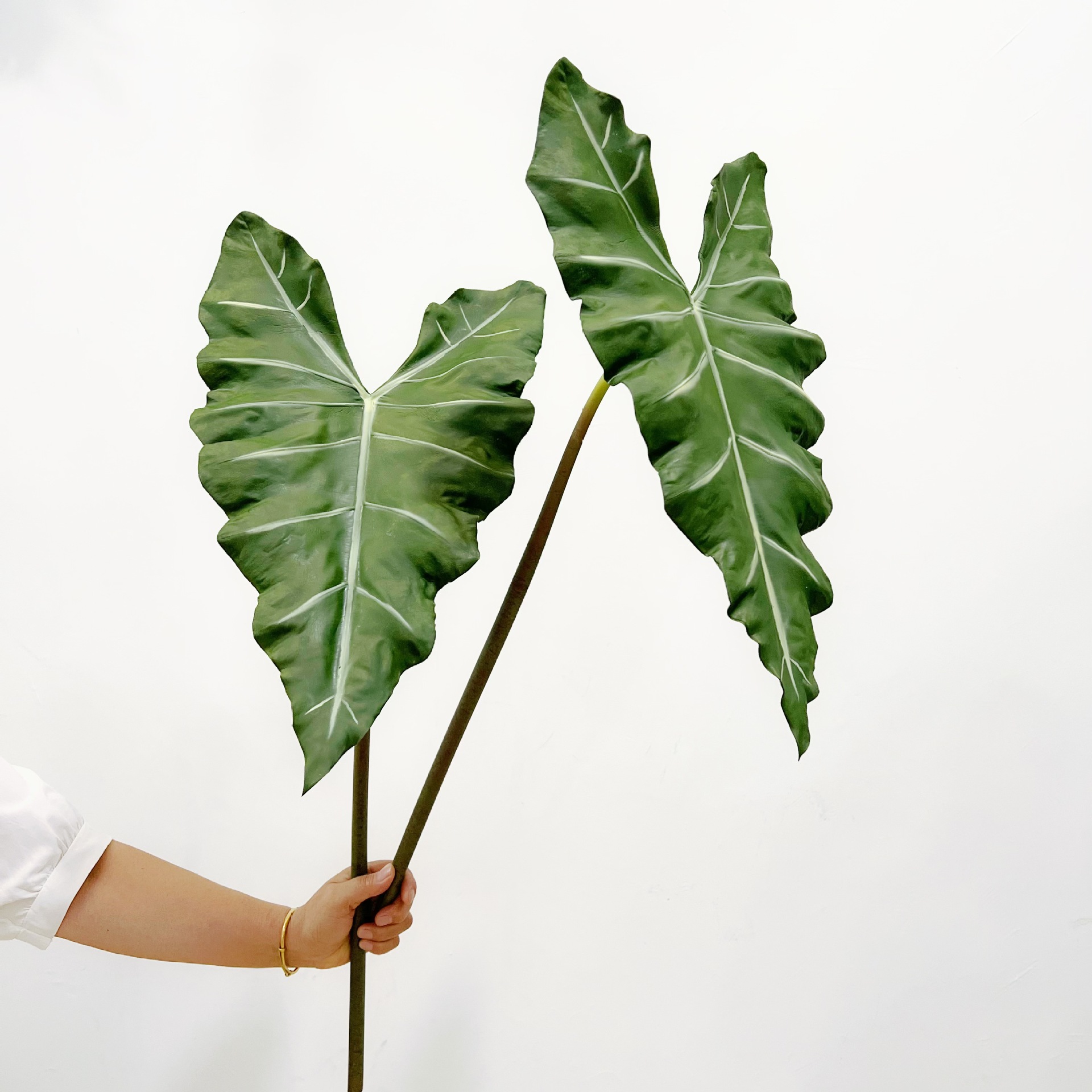 Pianta verde simulata lunga in - Monstera Adansonii recensione e prezzo