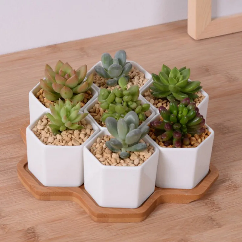 Set di 4/7/9/10 Vasi da fiori  - Aloe Vera Pot recensione e prezzo