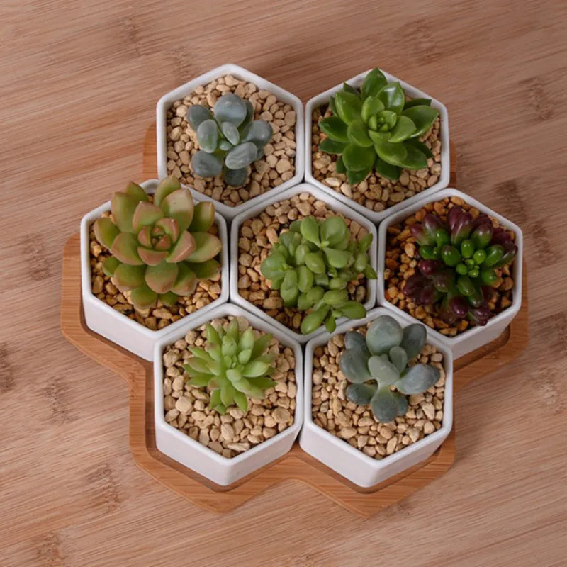Set di 4/7/9/10 Vasi da fiori  - Aloe Vera Pot recensione e prezzo