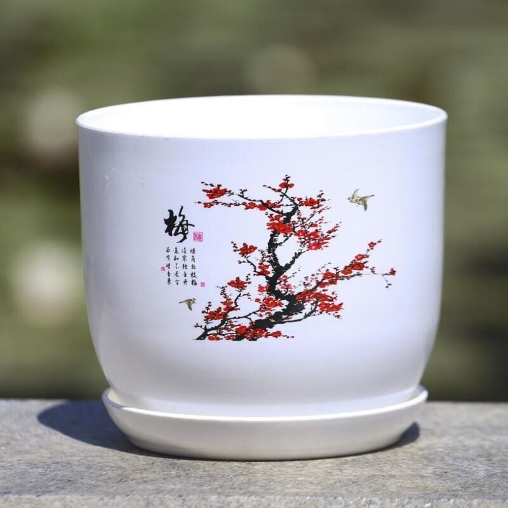 Vaso per Fiori Extra Large in  - Aloe Vera Pot recensione e prezzo