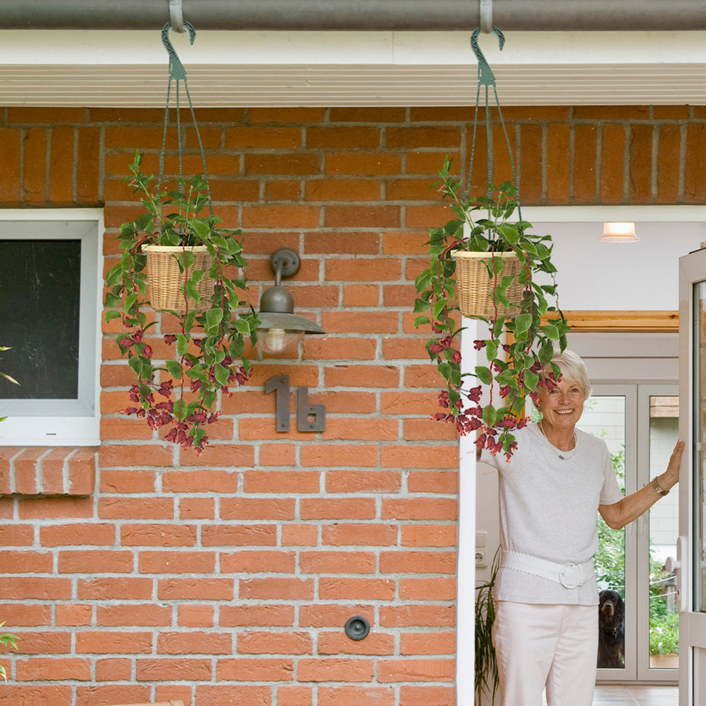 Set di 5 Ganci Versatili per P - Spider Plant Hanging recensione e prezzo