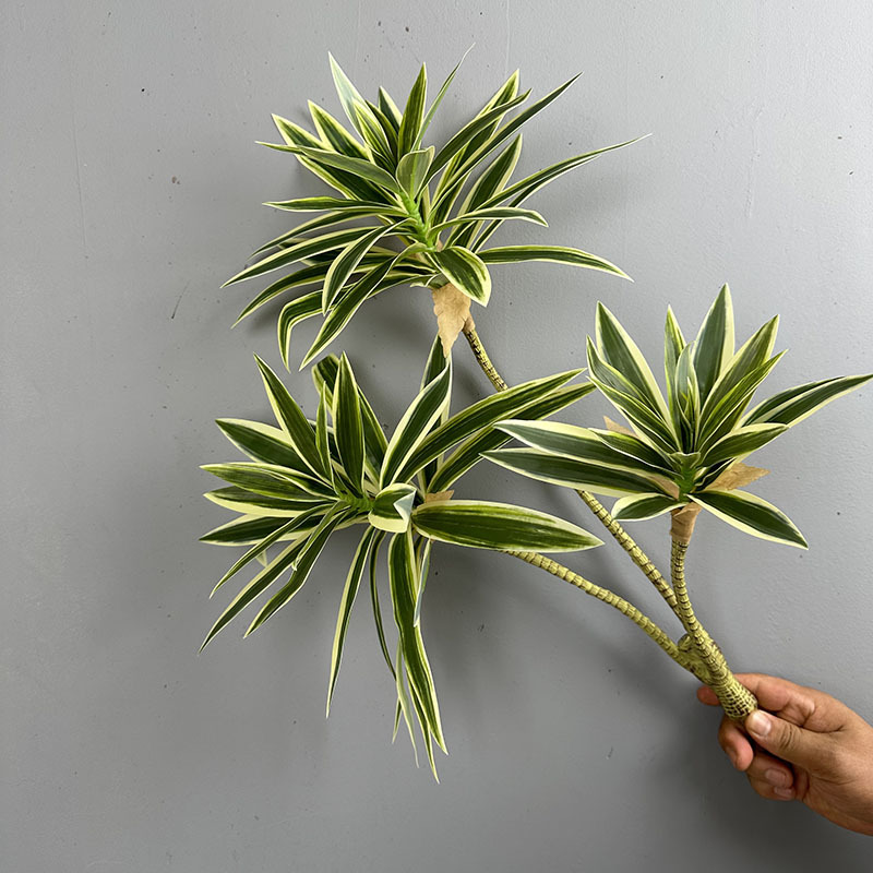 Piante verdi simulate 3 teste  - Dracaena Marginata recensione e prezzo