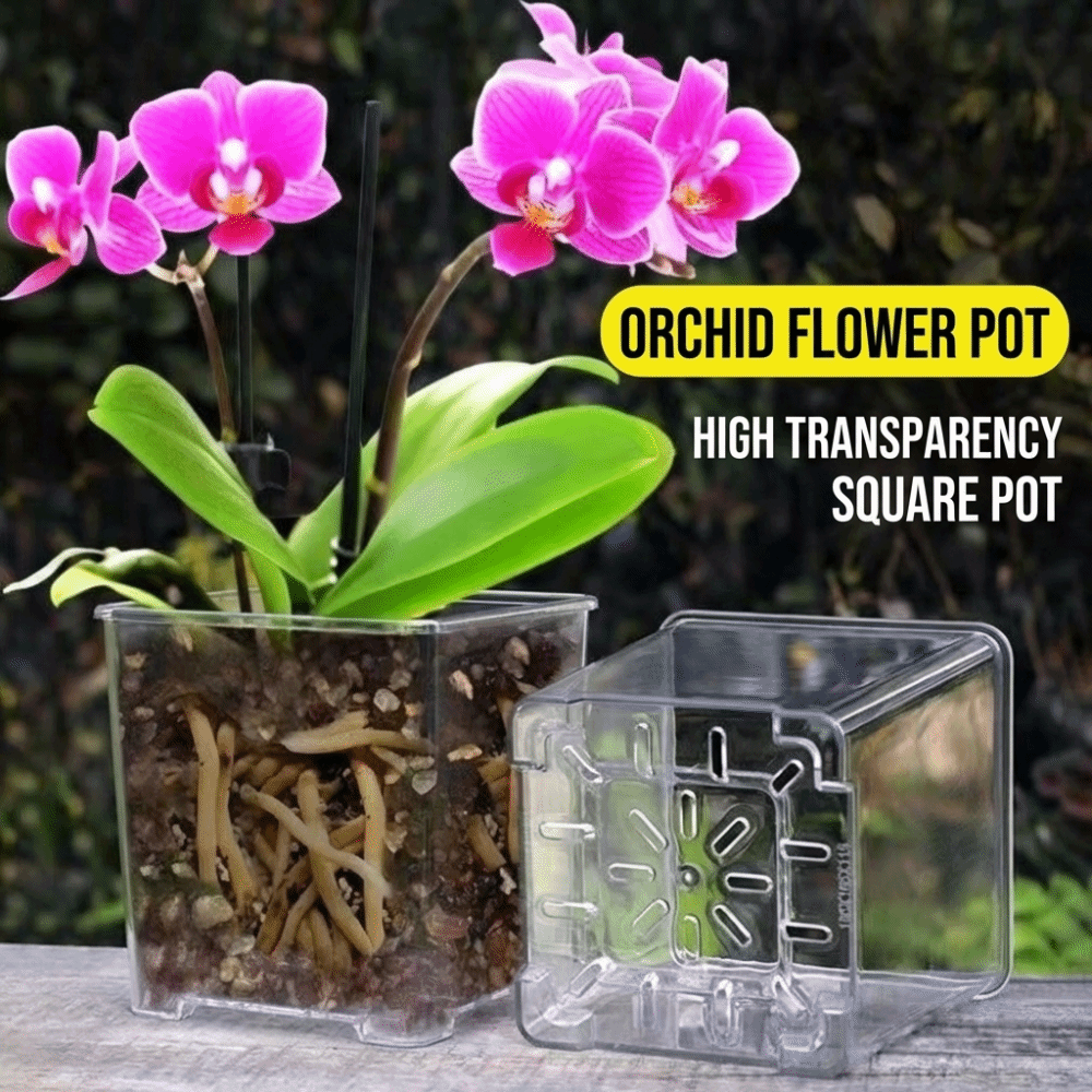 Vaso per Piante in Materiale A - Aloe Vera Pot recensione e prezzo